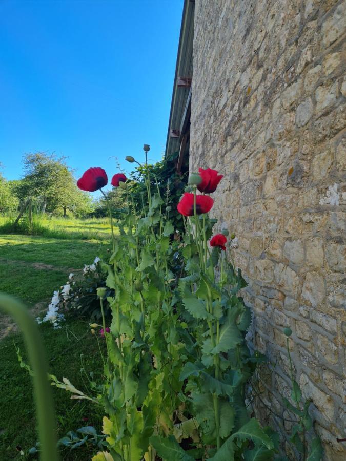 Domaine De La Cour Vautier Bed & Breakfast Mandeville-en-Bessin Exterior foto
