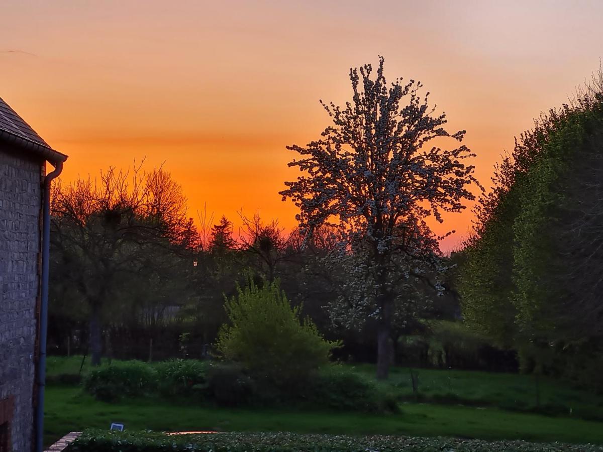 Domaine De La Cour Vautier Bed & Breakfast Mandeville-en-Bessin Exterior foto