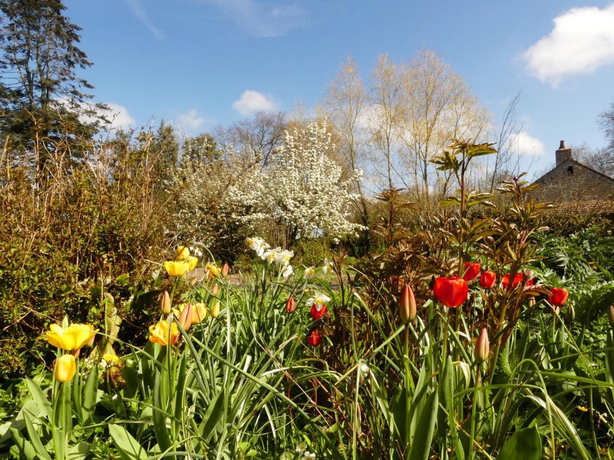 Domaine De La Cour Vautier Bed & Breakfast Mandeville-en-Bessin Exterior foto