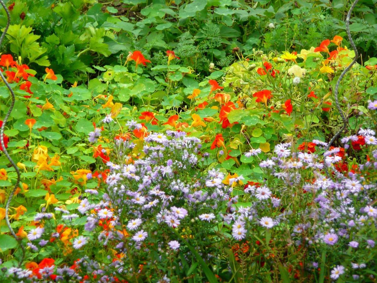 Domaine De La Cour Vautier Bed & Breakfast Mandeville-en-Bessin Exterior foto